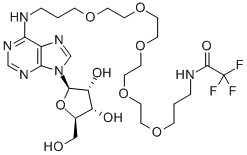N6-[((((3-TRIFLUORACETAMIDOPROPOXY(ETHOXY))ETHOXY)-ETHOXY)ETHOXY)PROPYL]ADENOSINE CAS#: 869355-12-4
