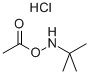 O-Acetyl-N-tert-butylhydroxylamine Hydrochloride CAS#: 851074-40-3