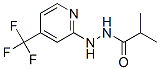 PROPANOIC ACID, 2-METHYL-, 2-[4-(TRIFLUOROMETHYL)-2-PYRIDINYL]HYDRAZIDE CAS#: 883010-71-7
