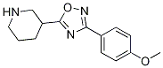 Piperidine, 3-[3-(4-Methoxyphenyl)-1,2,4-oxadiazol-5-yl]- CAS#: 852022-71-0