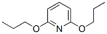 Pyridine, 2,6-dipropoxy- (9CI) CAS#: 820238-33-3