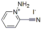 Pyridinium, 1-amino-2-cyano-, iodide (9CI) CAS#: 869334-88-3