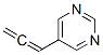 Pyrimidine, 5-(1,2-propadienyl)- (9CI) CAS#: 848741-44-6