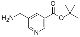 TERT-BUTYL 5-(AMINOMETHYL)NICOTINATE CAS#: 887579-76-2