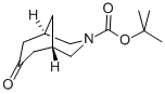 TERT-BUTYL 7-OXO-3-AZABICYCLO[3.3.1]NONANE-3-CARBOXYLATE CAS#: 850991-62-7