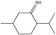 p-Menthane, 3-imino- (3CI) CAS#: 856203-17-3