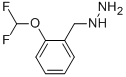 1-([2-(difluoromethoxy)phenyl]methyl)hydrazine CAS#: 887596-66-9