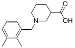 1-(2,3-dimethylbenzyl)piperidine-3-carboxylic acid CAS#: 896051-95-9