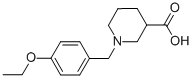 1-(4-ETHOXY-BENZYL)-PIPERIDINE-3-CARBOXYLIC ACID CAS#: 896045-70-8