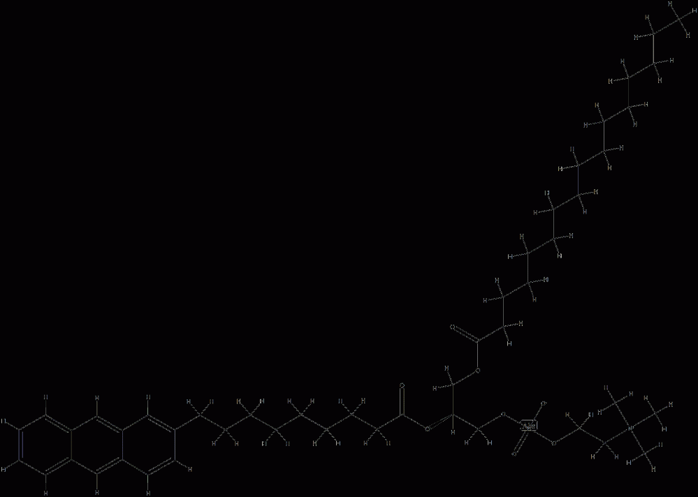1-palmitoyl-2-(9-(2-anthryl)nonanoyl)glycero-3-phosphocholine CAS#: 97992-77-3
