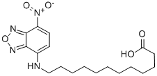 12-(7-NITROBENZOFURAZAN-4-YLAMINO)DODECANOIC ACID CAS#: 96801-39-7