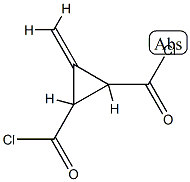 1,2-Cyclopropanedicarbonyl chloride, 3-methylene- (6CI) CAS#: 98141-48-1