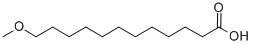 12-METHOXYDODECANOIC ACID CAS#: 92169-28-3