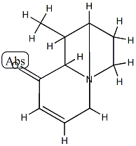 1,5-Methanoindolizin-6(5H)-one,1,2,3,8a-tetrahydro-9-methyl-,(1-alpha-,5-alpha-,8a-bta-,9R*)-(9CI) CAS#: 92609-05-7