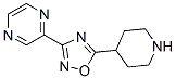 2-(5-PIPERIDIN-4-YL-1,2,4-OXADIAZOL-3-YL)PYRAZINE CAS#: 93072-94-7