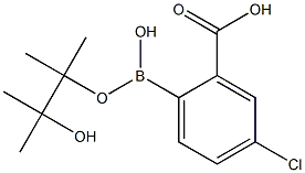 2-Carboxy-4-chlorophenylboronic acid pinacol ester CAS#: 891843-31-5