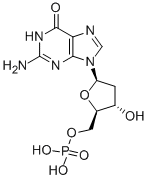 2'-DEOXYGUANOSINE 5'-MONOPHOSPHATE CAS#: 902-04-5