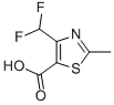 2-Methyl-4-(difluoromethyl)-1,3-thiazole-5-carboxylic acid CAS#: 891487-47-1