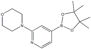 2-Morpholinopyridine-4-boronic acid, pinacol ester CAS#: 888721-86-6