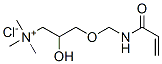 [2-hydroxy-3-[[(1-oxoallyl)amino]methoxy]propyl]trimethylammonium chloride CAS#: 94110-15-3