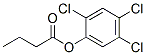 (2,4,5-trichlorophenyl) butanoate CAS#: 90842-37-8