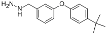 3-(4-TERT-BUTYL-PHENOXY)-BENZYL-HYDRAZINE CAS#: 887596-01-2