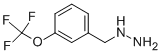 3-TRIFLUOROMETHOXY-BENZYL-HYDRAZINE CAS#: 887595-84-8