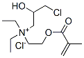 [3-chloro-2-hydroxypropyl]diethyl[2-[(2-methyl-1-oxoallyl)oxy]ethyl]ammonium chloride CAS#: 93804-78-5