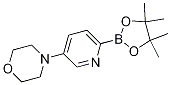 4-(6-(4,4,5,5-tetraMethyl-1,3,2-dioxaborolan-2-yl)pyridin-3-yl)Morpholine CAS#: 897935-17-0