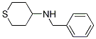 4-(BenzylaMino)tetrahydrothiopyran CAS#: 887978-08-7
