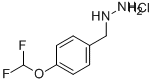 [4-(DIFLUOROMETHOXY)BENZYL]HYDRAZINE HYDROCHLORIDE CAS#: 887596-65-8