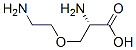 4-Oxalysine CAS#: 997-44-4