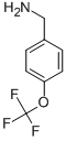 4-(TRIFLUOROMETHOXY)BENZYLAMINE CAS#: 93919-56-3