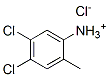 4,5-dichloro-2-methylanilinium chloride CAS#: 93839-01-1