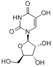5-HYDROXYURIDINE CAS#: 957-77-7