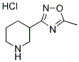 5-Methyl-3-(piperidin-3-yl)-1,2,4-oxadiazole hydrochloride CAS#: 895572-60-8