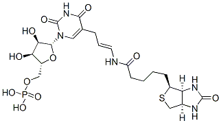 5-(N-biotinyl-3-aminoallyl)uridine 5'-monophosphate CAS#: 97950-37-3