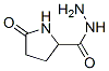 5-oxo-DL-prolinohydrazide CAS#: 94135-34-9