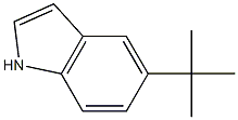 5-(tert-Butyl)-1H-indole CAS#: 92462-70-9