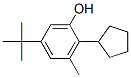 5-tert-butyl-2-cyclopentyl-m-cresol CAS#: 94022-18-1