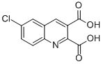 6-CHLOROQUINOLINE-2,3-DICARBOXYLIC ACID CAS#: 92513-50-3
