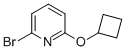 6-(CYCLOBUTOXY)-2-BROMOPYRIDINE CAS#: 891842-80-1