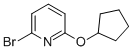 6-(CYCLOPENTOXY)-2-BROMOPYRIDINE CAS#: 891842-81-2