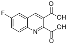 6-FLUOROQUINOLINE-2,3-DICARBOXYLIC ACID CAS#: 892874-70-3