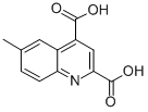 6-METHYLQUINOLINE-2,4-DICARBOXYLIC ACID CAS#: 91493-56-0