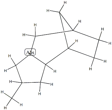 6,9-Methano-1H-pyrrolo[1,2-a]azepine,octahydro-2-methyl-(9CI) CAS#: 90307-42-9