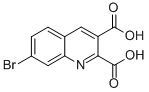 7-BROMOQUINOLINE-2,3-DICARBOXYLIC ACID CAS#: 892874-38-3