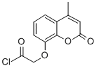 7-[(CHLOROCARBONYL)METHOXY]-4-METHYLCOUMARIN CAS#: 91454-65-8