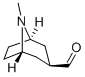 8-Azabicyclo[3.2.1]octane-3-carboxaldehyde, 8-methyl-, exo- (9CI) CAS#: 93047-52-0