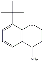 8-tert-butylchroman-4-amine CAS#: 890839-83-5
